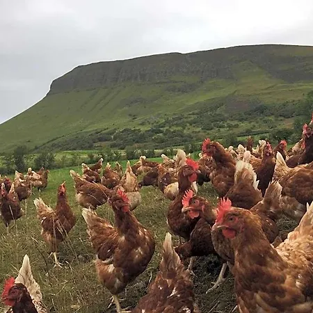 Benbulben Farmhouse