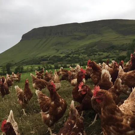 Benbulben Farmhouse 4*