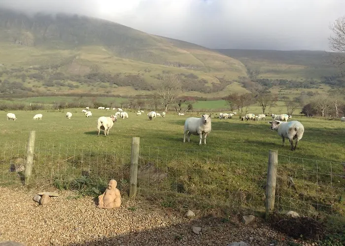 Bed & Breakfast Benbulben Drumcliff