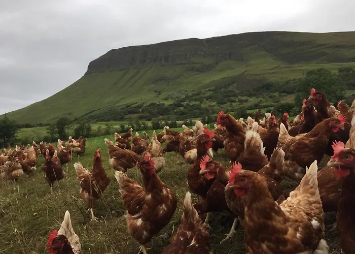 Benbulben Farmhouse 4*